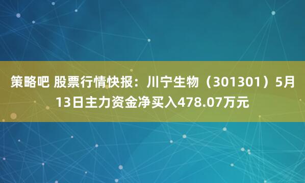策略吧 股票行情快报：川宁生物（301301）5月13日主力资金净买入478.07万元