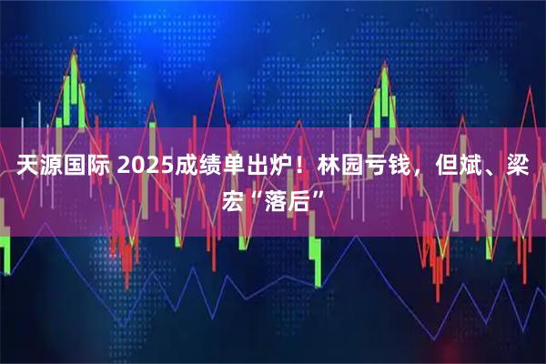 天源国际 2025成绩单出炉！林园亏钱，但斌、梁宏“落后”